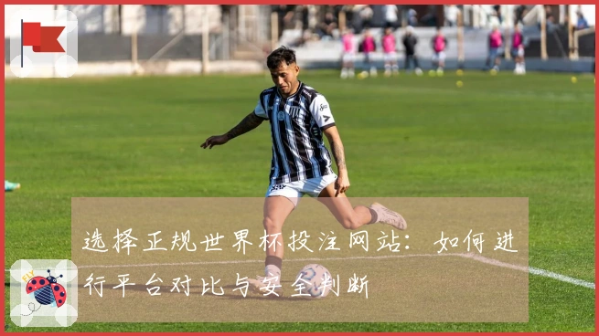 选择正规世界杯投注网站：如何进行平台对比与安全判断