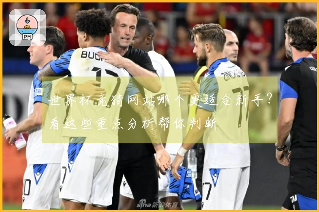 亚星官网体育资讯图片