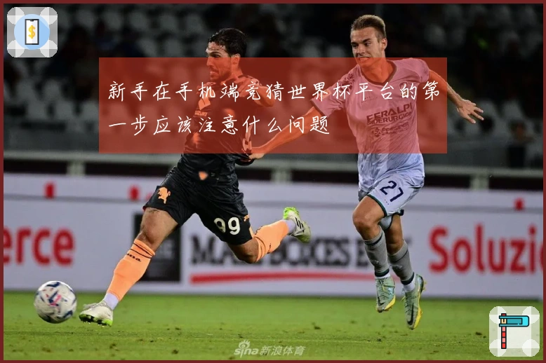 新手在手机端竞猜世界杯平台的第一步应该注意什么问题