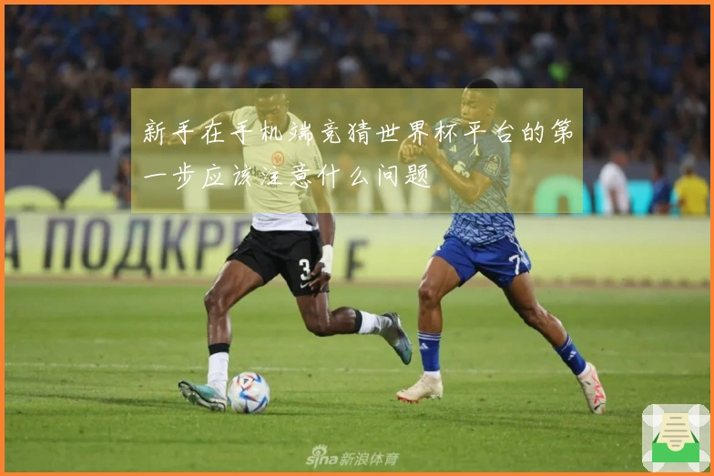 亚星官网体育资讯图片