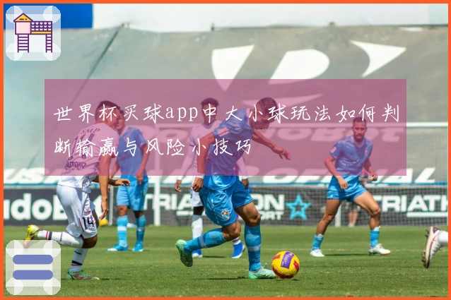 世界杯买球app中大小球玩法如何判断输赢与风险小技巧
