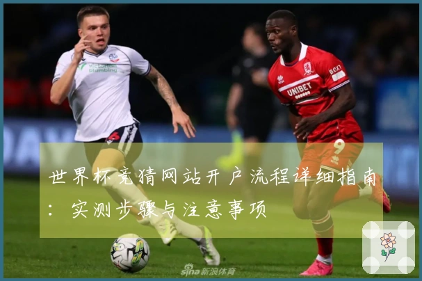 亚星官网体育资讯图片