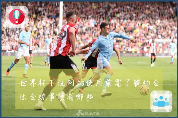世界杯下注网站使用前需了解的合法合规事项有哪些